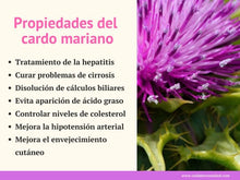 Cargar imagen en el visor de la galería, Cardo mariano